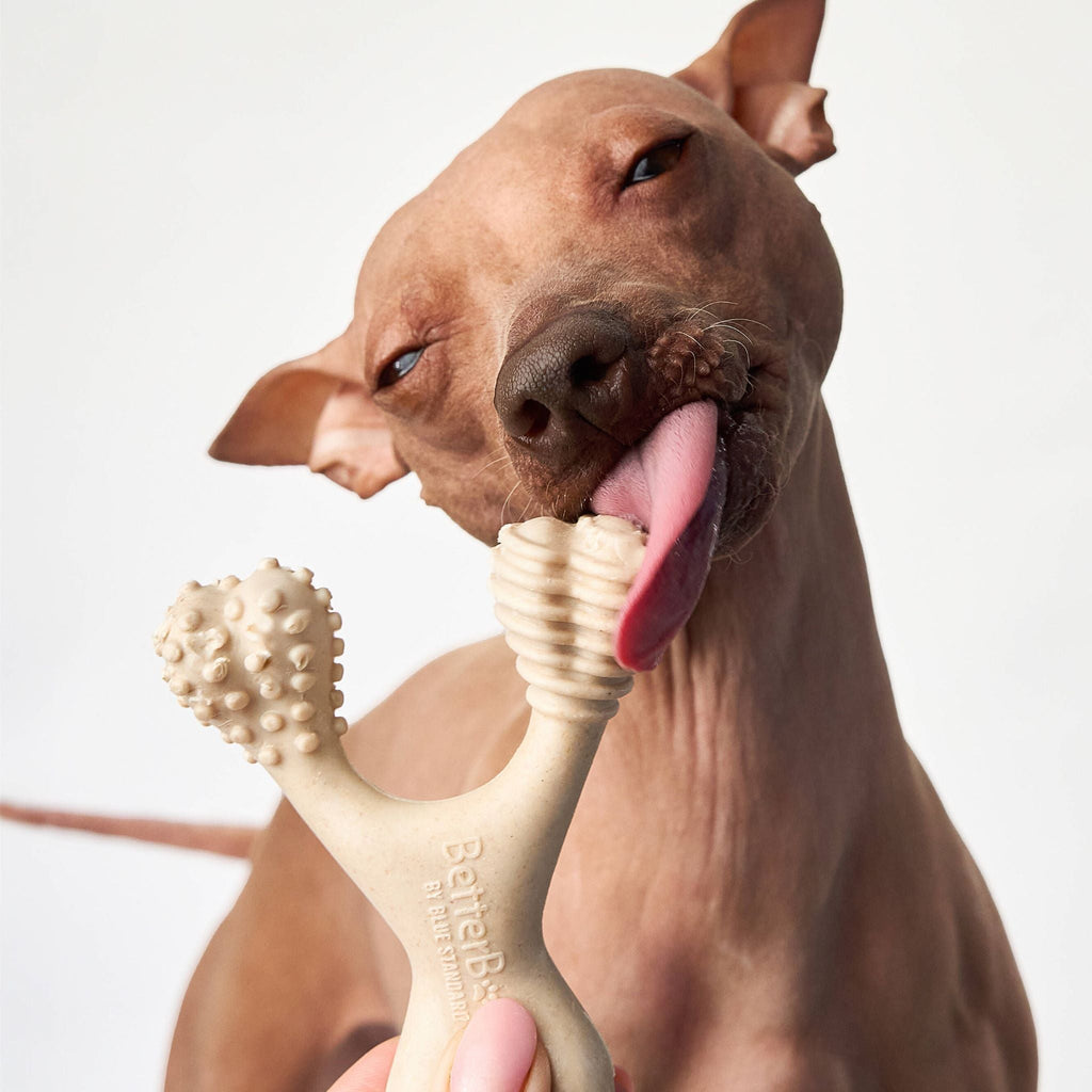 BetterBone SOFT Durability CHEW TOY: Natural Plant-Based Ingredients, Perfect for Teething Puppies, Senior Dogs & Gentle Chewers