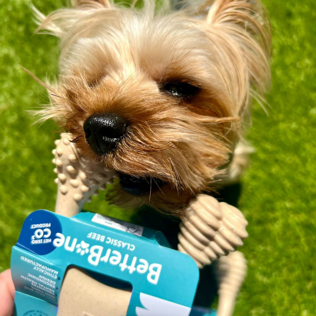 BetterBone SOFT Durability CHEW TOY: Natural Plant-Based Ingredients, Perfect for Teething Puppies, Senior Dogs & Gentle Chewers